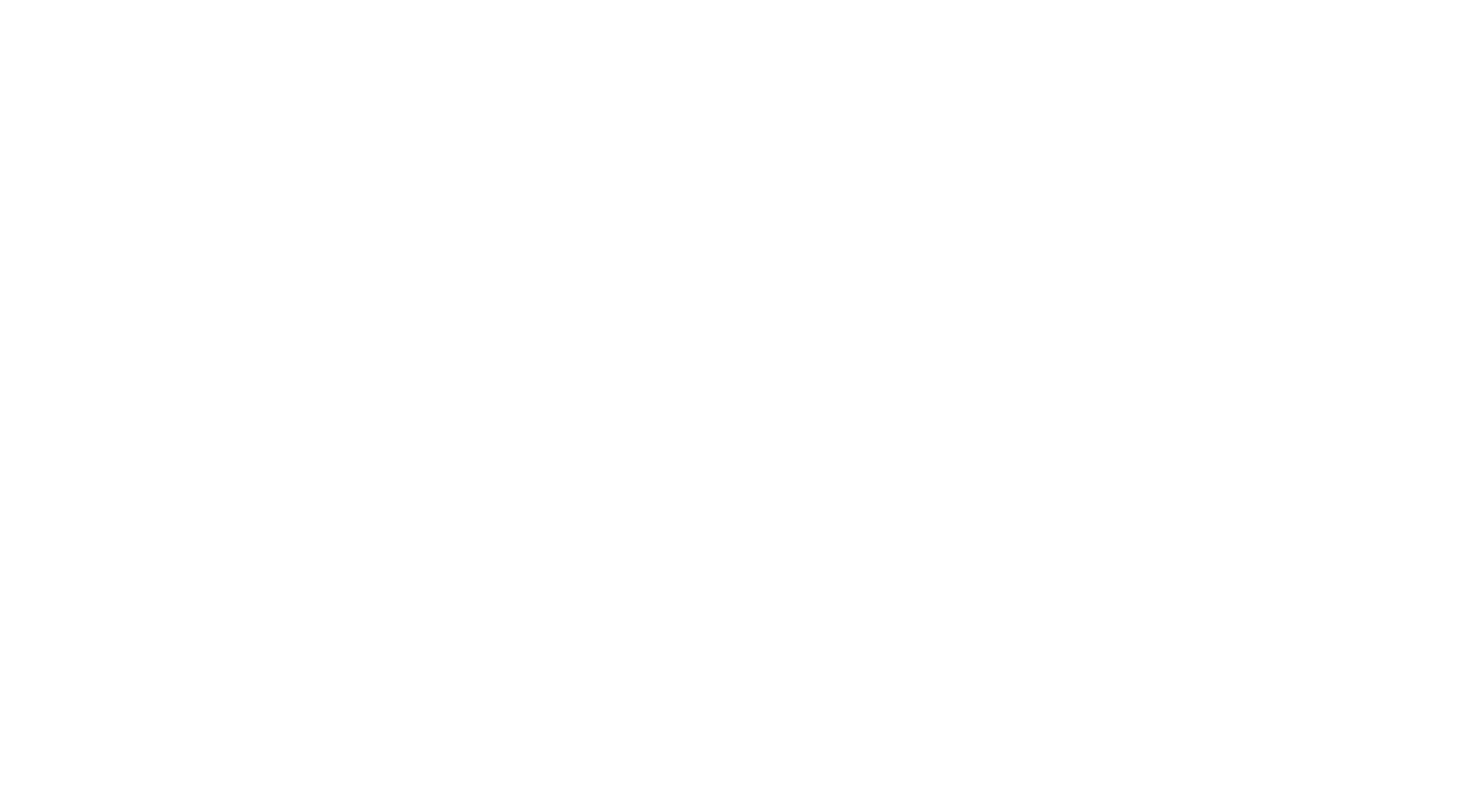 Aerra-Primary-logo-white